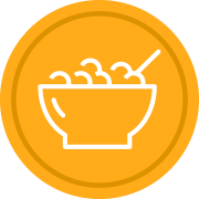 bowl of oatmeal icon